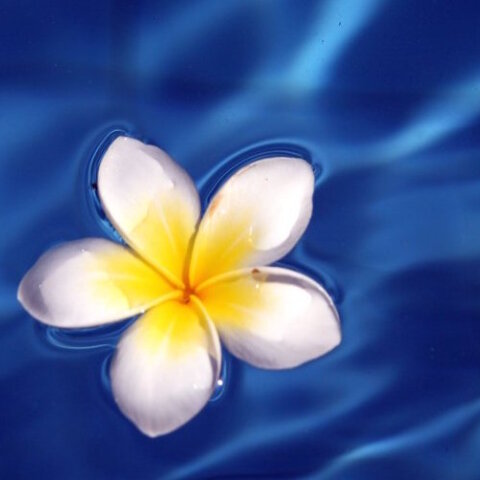 Εορτολόγιο: Σήμερα 28 Σεπτεμβρίου γιορτάζει… 