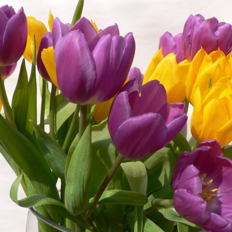 Εορτολόγιο: Σήμερα 7 Οκτωβρίου γιορτάζει…