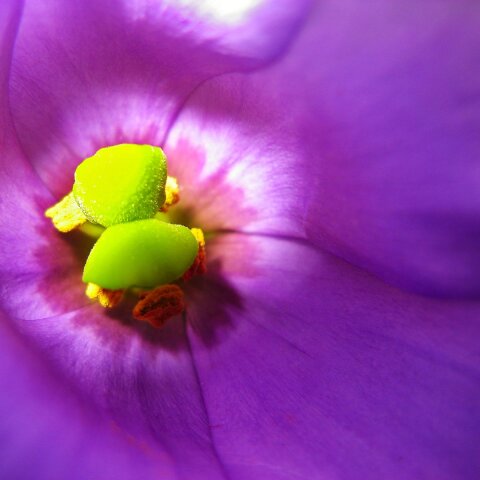 Εορτολόγιο: Σήμερα 18 Οκτωβρίου γιορτάζει…