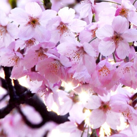 Εορτολόγιο: Σήμερα 20 Οκτωβρίου γιορτάζει…