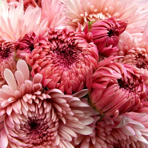 Εορτολόγιο: Σήμερα 22 Οκτωβρίου γιορτάζει…