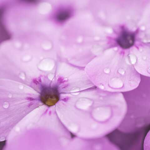 Εορτολόγιο: Σήμερα 30 Οκτωβρίου γιορτάζει…