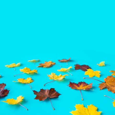 Εορτολόγιο: Σήμερα 11 Νοεμβρίου γιορτάζει…