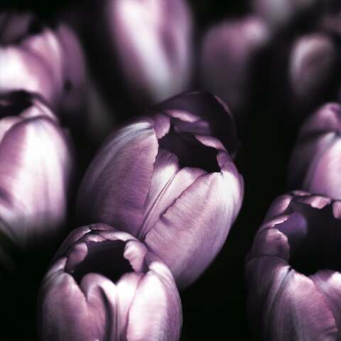 Εορτολόγιο: Σήμερα 30 Νοεμβρίου γιορτάζει…