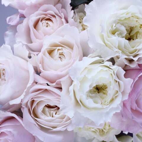 Εορτολόγιο: Σήμερα 2 Δεκεμβρίου γιορτάζει…