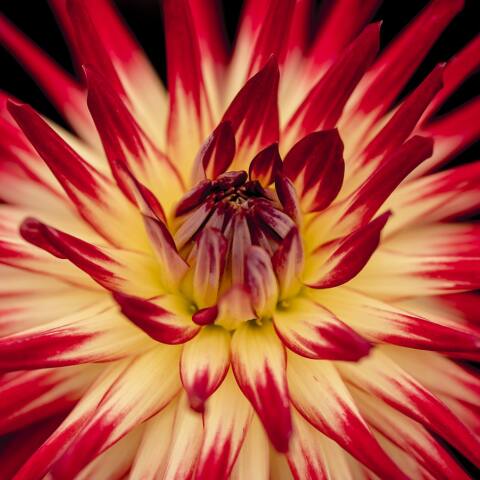 Εορτολόγιο: Σήμερα 22 Δεκεμβρίου γιορτάζει…