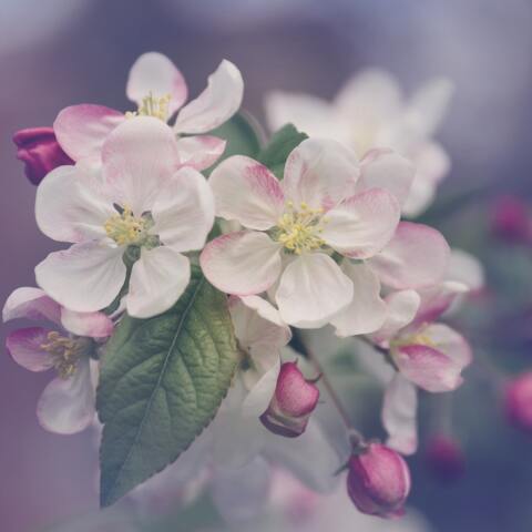 Εορτολόγιο: Σήμερα 31 Δεκεμβρίου γιορτάζει…