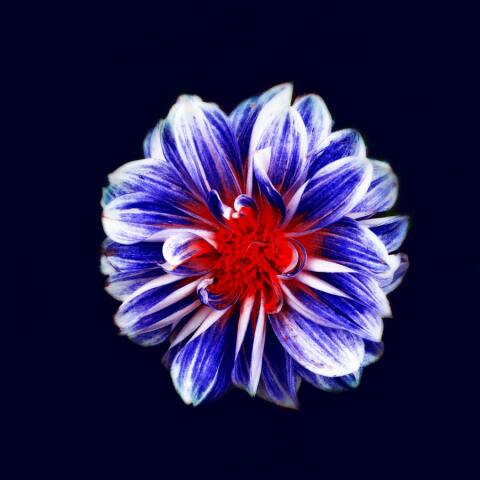 Εορτολόγιο: Σήμερα 13 Αυγούστου γιορτάζει…