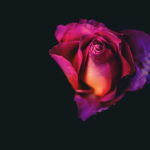 Εορτολόγιο: Σήμερα 9 Αυγούστου γιορτάζει…