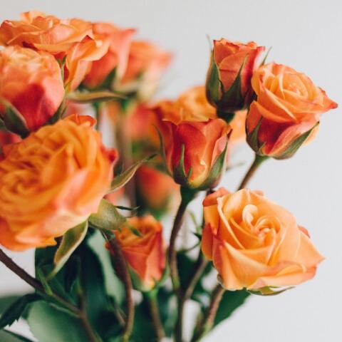 Εορτολόγιο: Σήμερα 6 Αυγούστου γιορτάζει…