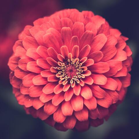 Εορτολόγιο: Σήμερα 29 Αυγούστου γιορτάζει…