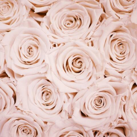 Εορτολόγιο: Σήμερα 13 Οκτωβρίου γιορτάζει…