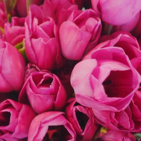 Εορτολόγιο: Σήμερα 15 Οκτωβρίου γιορτάζει…