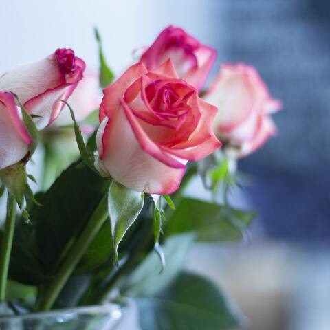 Εορτολόγιο: Σήμερα 14 Οκτωβρίου γιορτάζει…