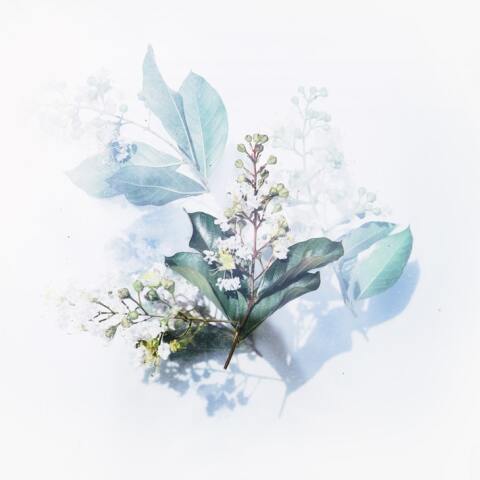 Εορτολόγιο: Σήμερα 31 Οκτωβρίου γιορτάζει…