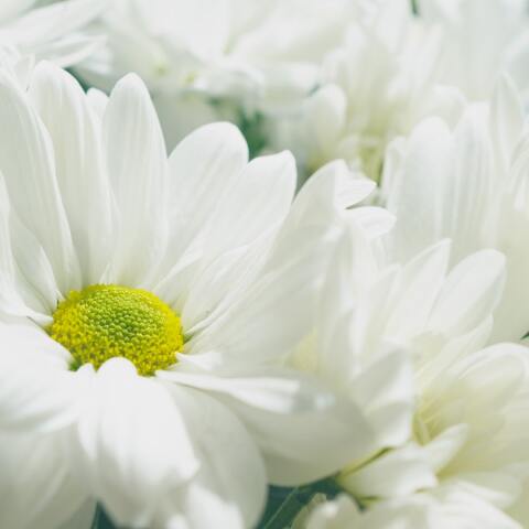 Εορτολόγιο: Σήμερα 29 Οκτωβρίου γιορτάζει…