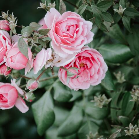 Εορτολόγιο: Σήμερα 23 Οκτωβρίου γιορτάζει…