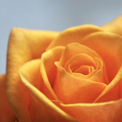 Εορτολόγιο: Σήμερα 28 Νοεμβρίου γιορτάζει...