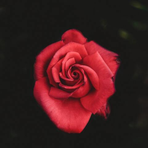 Εορτολόγιο: Σήμερα 15 Δεκεμβρίου γιορτάζει…