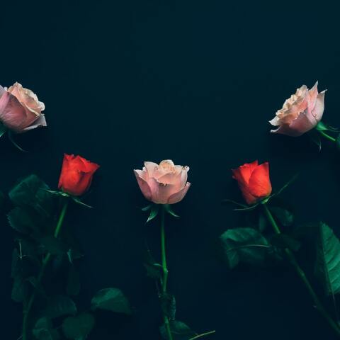 Εορτολόγιο: Σήμερα 2 Οκτωβρίου γιορτάζει… 