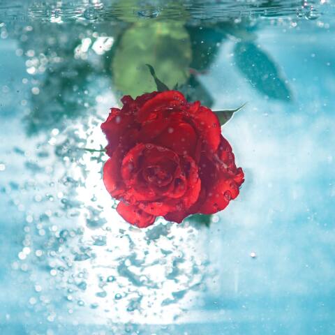 Εορτολόγιο: Σήμερα 16 Οκτωβρίου γιορτάζει…