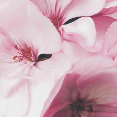 Εορτολόγιο: Σήμερα 1 Δεκεμβρίου γιορτάζει…