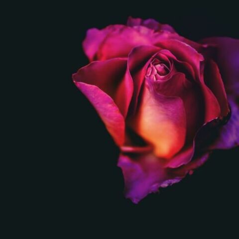 Εορτολόγιο: Σήμερα 12 Αυγούστου γιορτάζει…