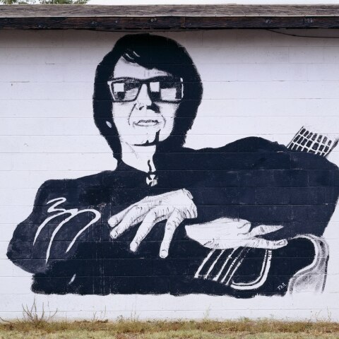 Τοιχογραφία που απεικονίζει τον Roy Orbison