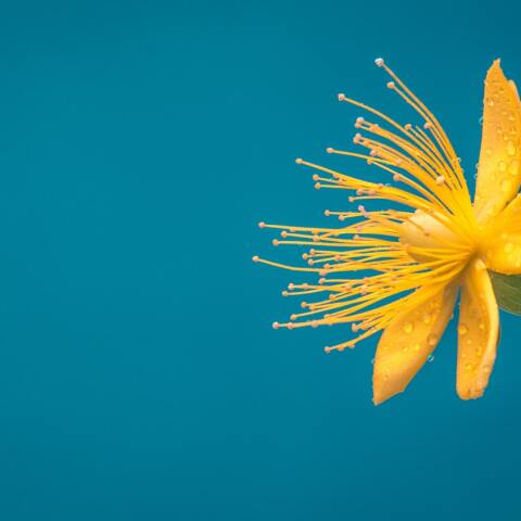 Εορτολόγιο: Σήμερα 10 Δεκεμβρίου γιορτάζει…