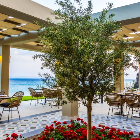 Kyma: Το εστιατόριο στη Σιθωνία και φέτος έτοιμο και φέτος να μας ταξιδέψει στον γαστρονομικό πλούτο της χώρας μας.