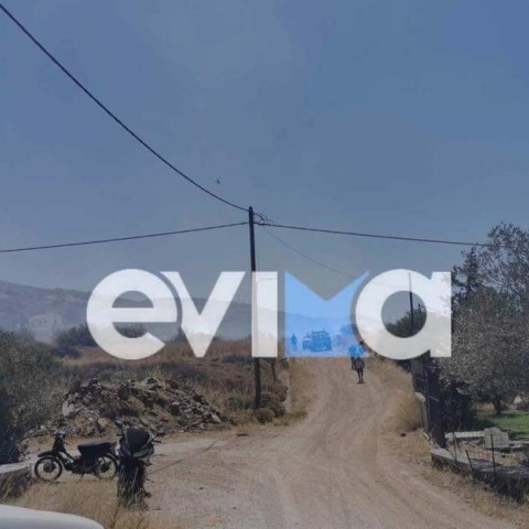 Φωτιά τώρα στην Κάρυστο