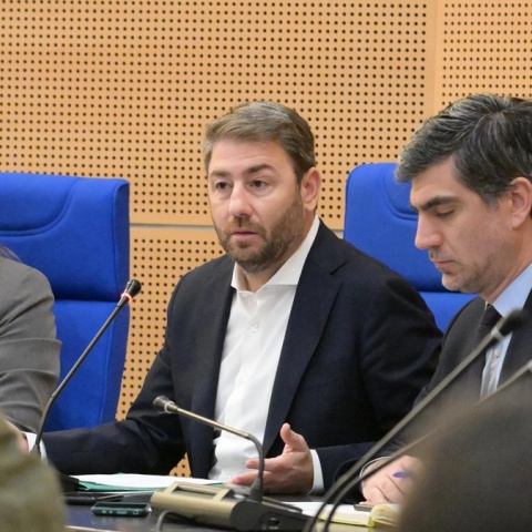 Ο πρόεδρος του ΠΑΣΟΚ, Νίκος Ανδρουλάκης