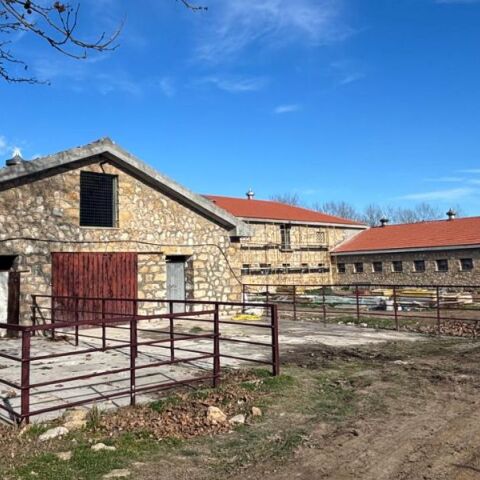 Το Νέο Βουστάσιο στο π. βασιλικό κτήμα στο Τατόι