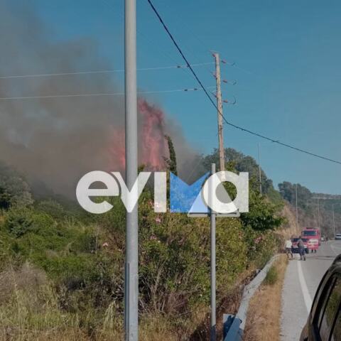 Φωτιά τώρα στην Εύβοια