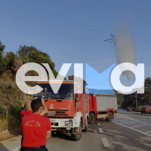 Φωτιά στην Εύβοια