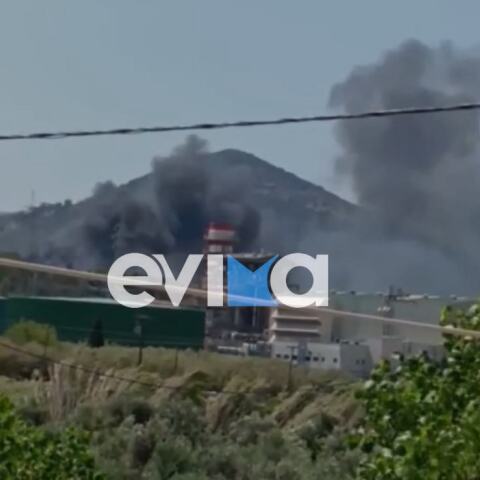 Φωτιά τώρα στην Εύβοια