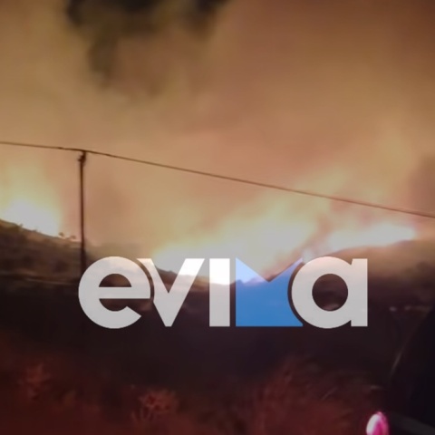 Φωτιά στην Εύβοια