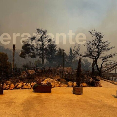 Ζάκυνθος: Η φωτιά κατέστρεψε την ιστορική ταβέρνα «Δαμιανός» στον Αγαλά