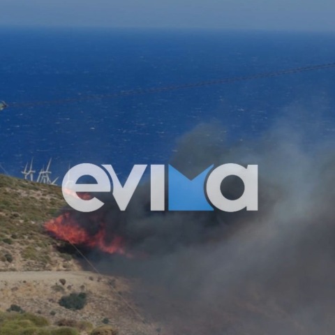 Φωτιά τώρα στην Κάρυστο 