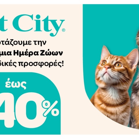 pet-city