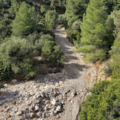 Δολοφονία 27χρονου στη Νέα Πέραμο: Ποιο είναι το σενάριο που εξετάζουν οι αρχές