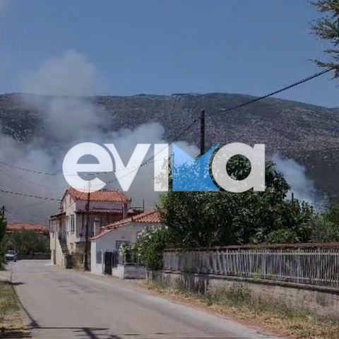 Κάπνος πάνω από σπίτι στην Εύβοια από τη φωτιά στην Επισκοπή