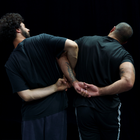 «Neighbours» στο 28ο Διεθνές Φεστιβάλ Χορού  Καλαμάτας