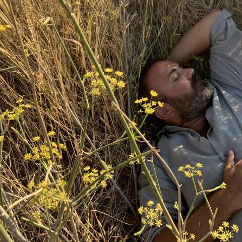 Ανδρέας Λαγός