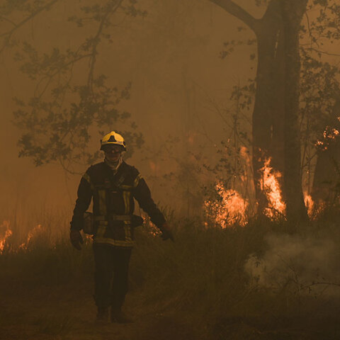 Γαλλία: Σε κόκκινο συναγερμό βρίσκεται η χώρα εξαιτίας του καύσωνα και των πυρκαγιών.