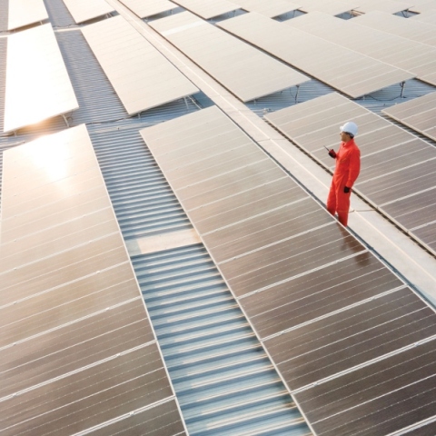 «Πράσινες» επενδύσεις  