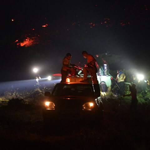 paralies-fotia-penteli