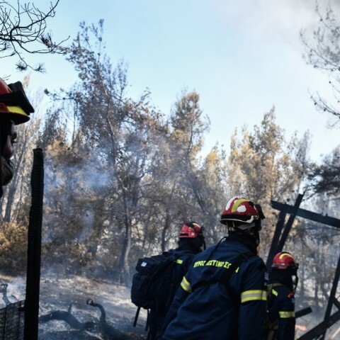 pirkagia-fotia-penteli