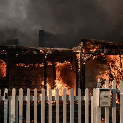 pyrkagia-penteli-pallini