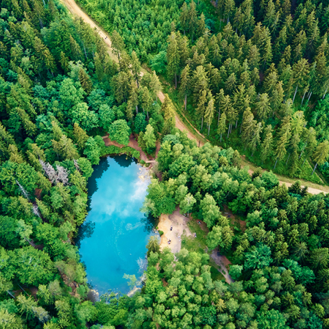 Podcast Μηδενικό αποτύπωμα - Αγγελική Κοσμοπούλου | Οι φυσικοί πόροι τελειώνουν
